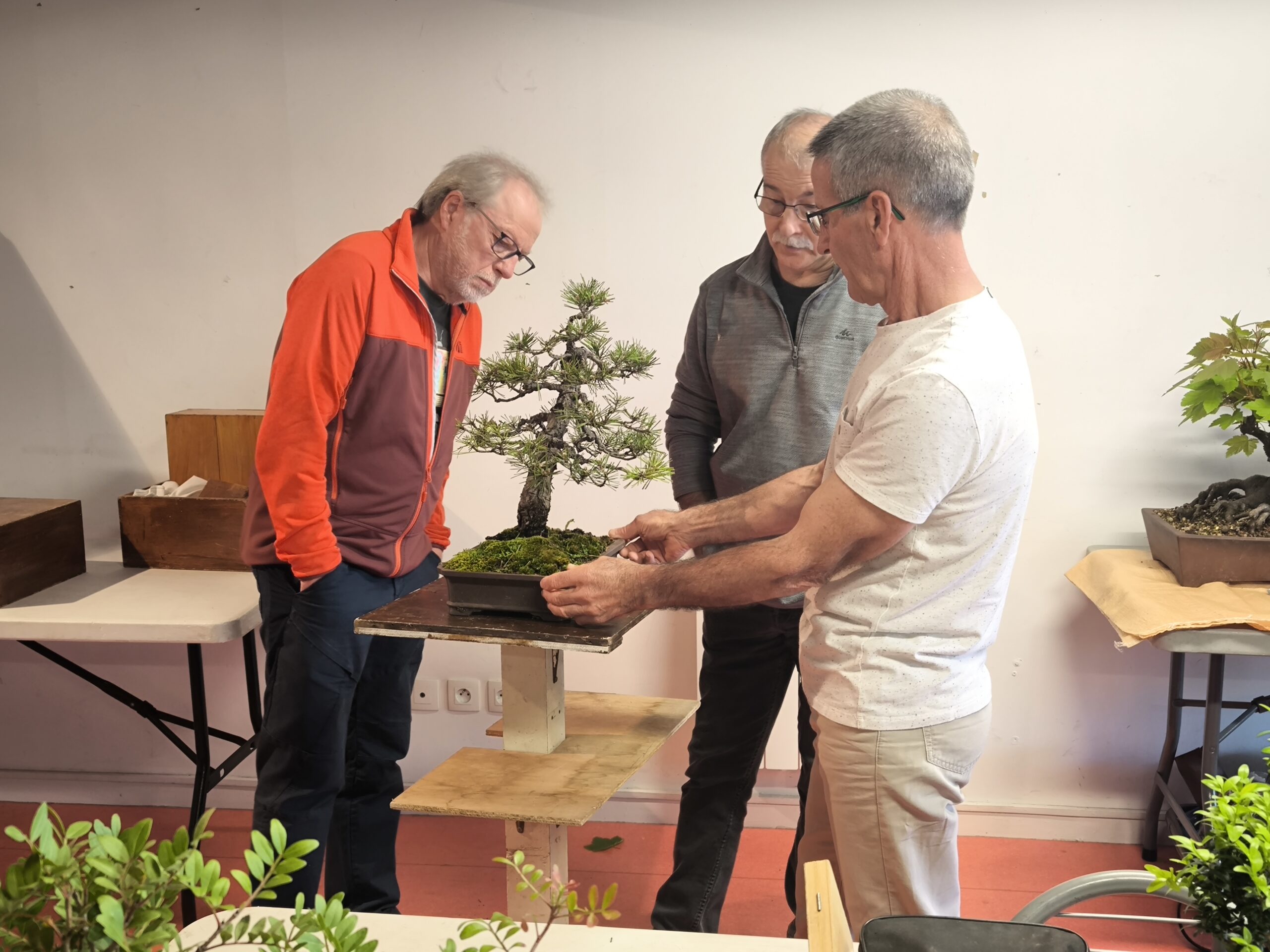 espace-membres-bonsai-club-d-aquitaine